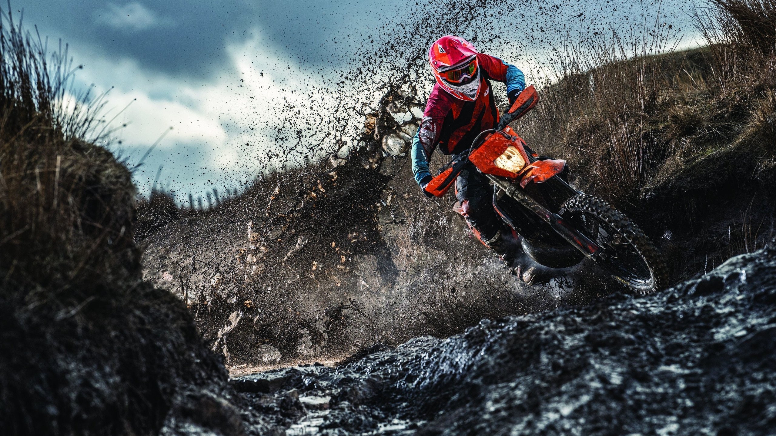 北京队粉碎勇士，拉文在F1新赛季揭幕战接管比赛，跨界王者的征服宣言