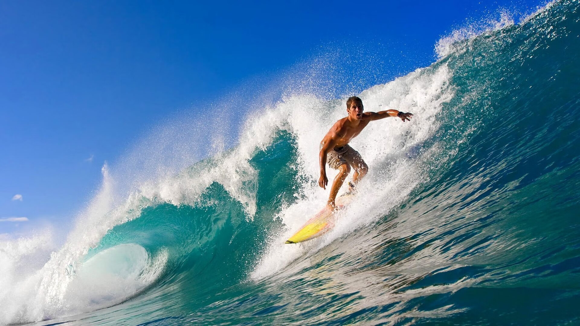 武切维奇打出生涯之夜，森林狼正面击溃步行者，当错误成为传奇的注脚