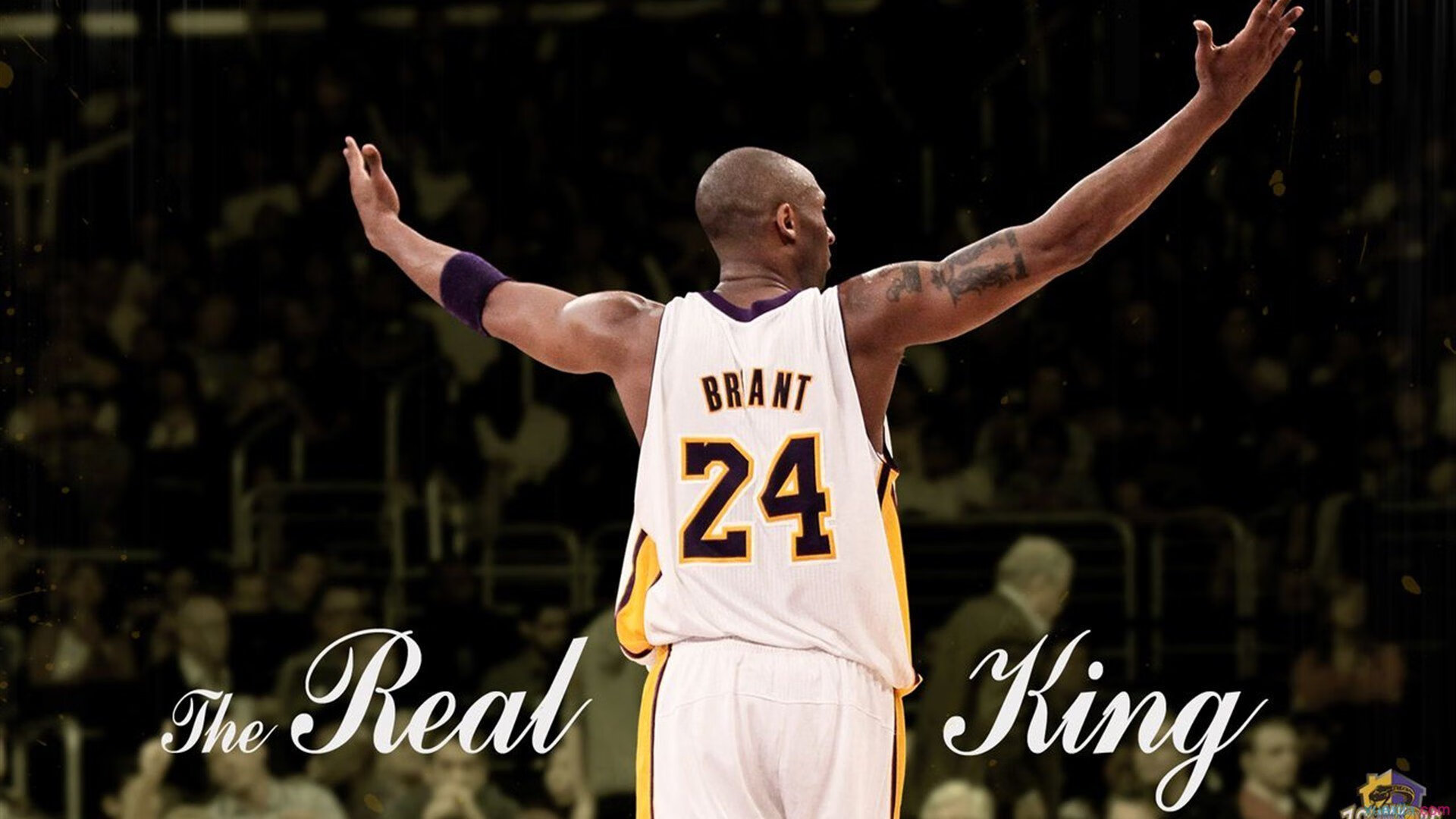 伊萨克，北欧闪电，刺穿斗牛士的钢铁森林